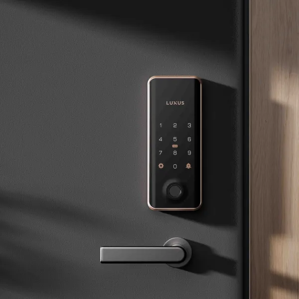 Experience the Future of Home Security: Get a Fingerprint Lock from Kaadas
