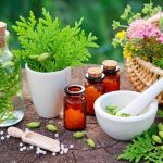 The Future of Herbal Research in Medicine