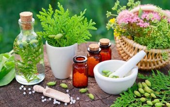 The Future of Herbal Research in Medicine