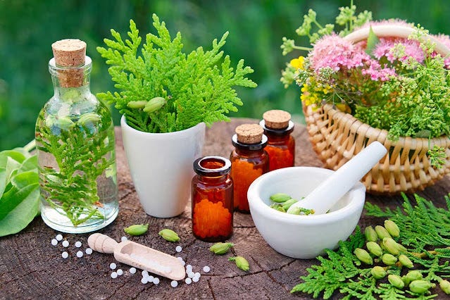 The Future of Herbal Research in Medicine