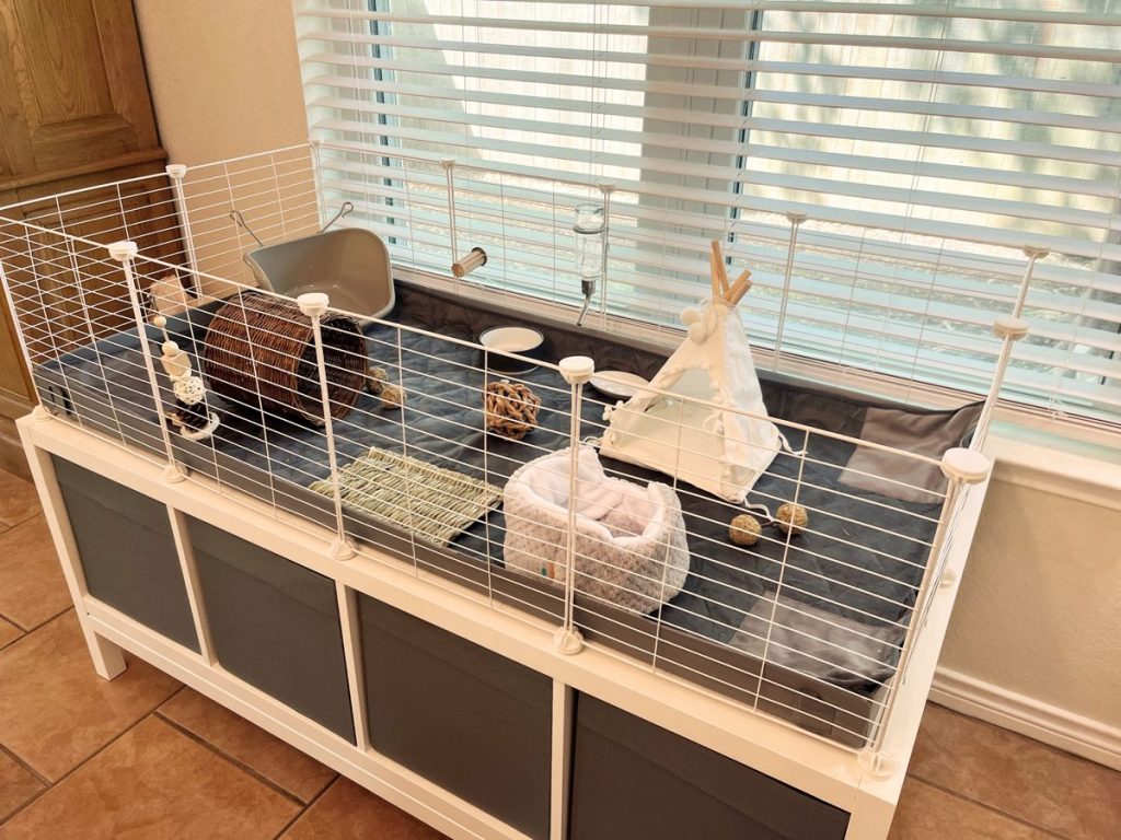 Indoor Guinea Pig Cages